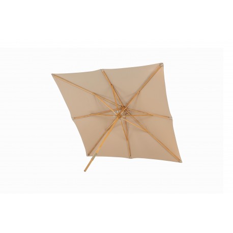 Naxos Parasol - Brun,nature