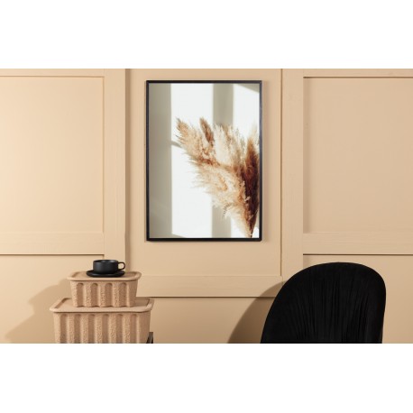 Pampas Plakat - Beige