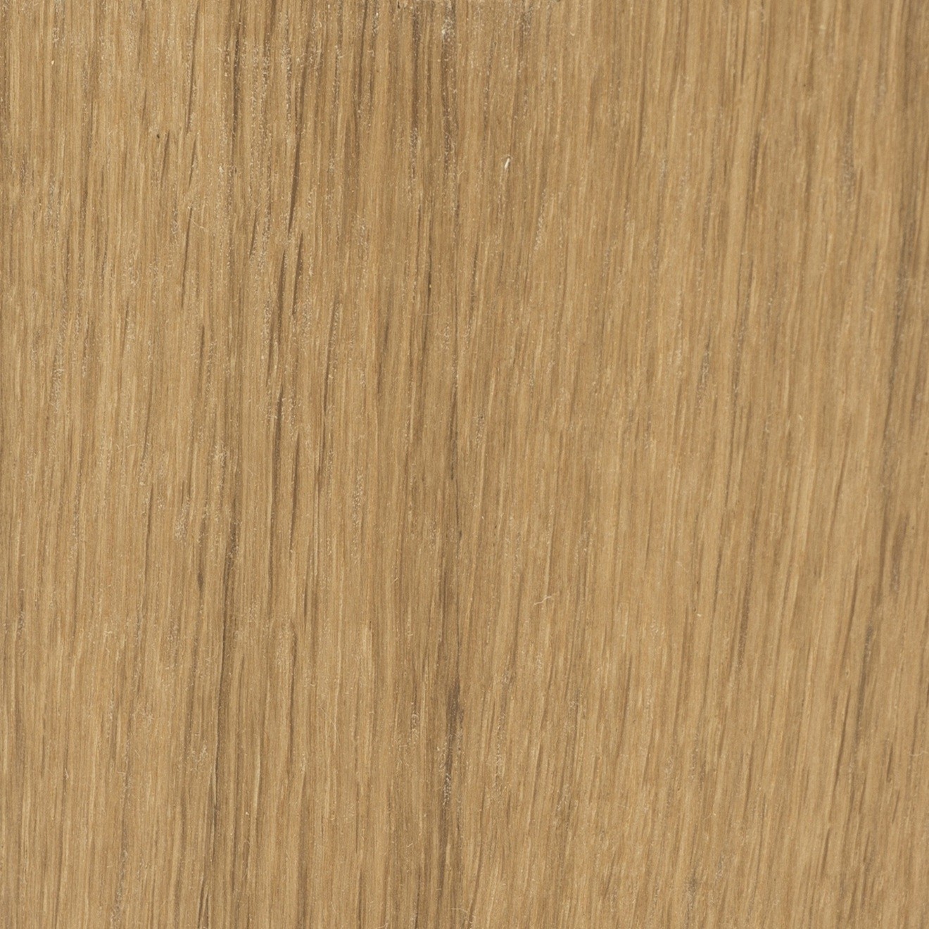 Eg oliebehandlet (E01)